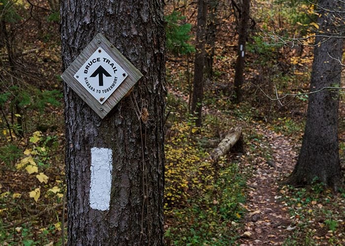 Bruce Trail 