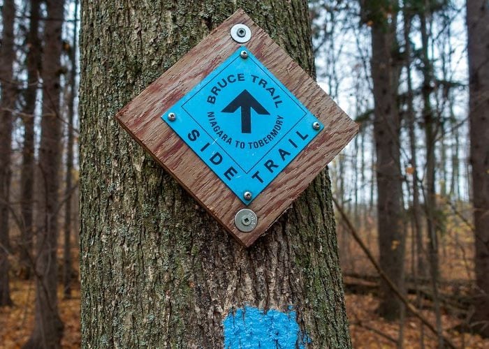 Side Trail